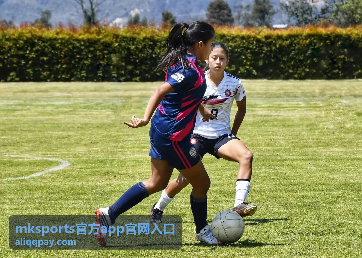 mksports官方app官网入口实时赛事面板展示比分与关键事件