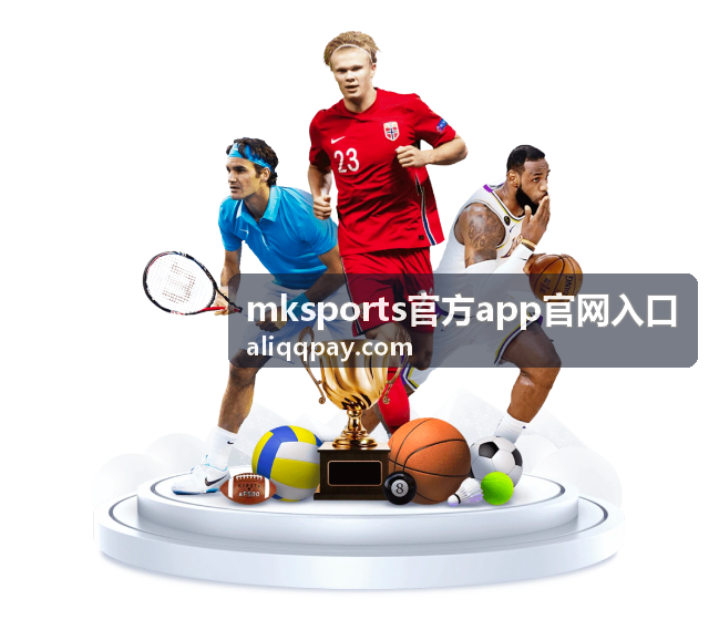 mksports官方app官网入口安装失败排查与系统要求对照示意