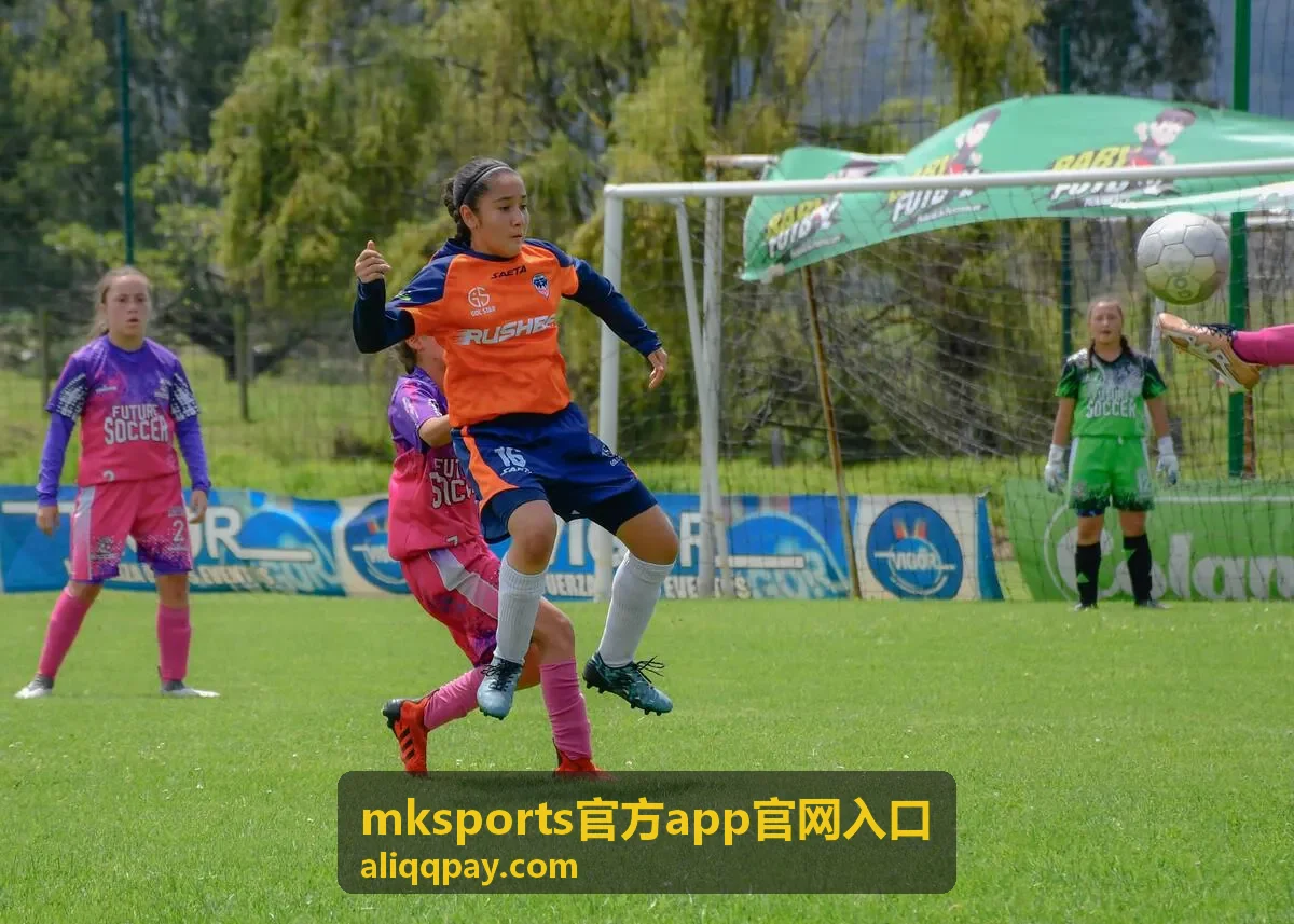 mksports官方app官网入口版本更新与修复记录