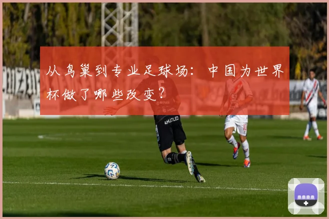 从鸟巢到专业足球场：中国为世界杯做了哪些改变？