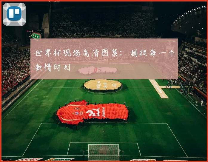 世界杯现场高清图集：捕捉每一个激情时刻