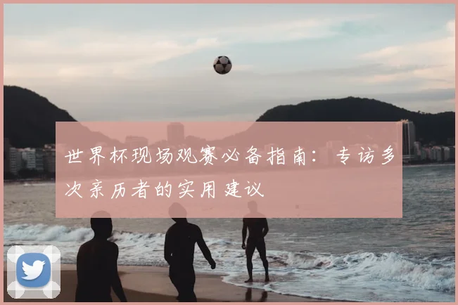 世界杯现场观赛必备指南：专访多次亲历者的实用建议