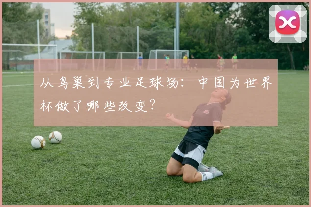 从鸟巢到专业足球场：中国为世界杯做了哪些改变？