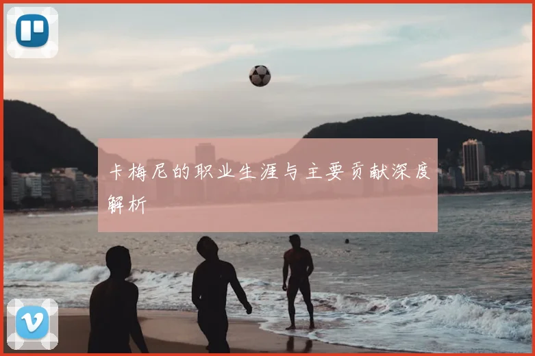 卡梅尼的职业生涯与主要贡献深度解析