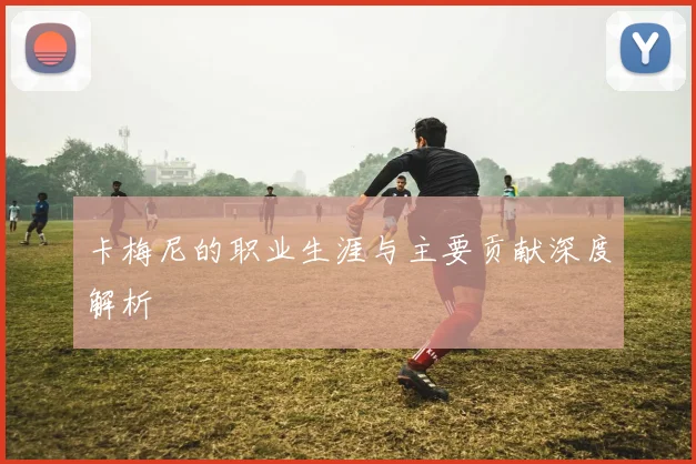 卡梅尼的职业生涯与主要贡献深度解析