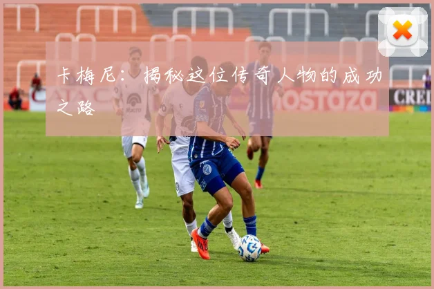 卡梅尼：揭秘这位传奇人物的成功之路