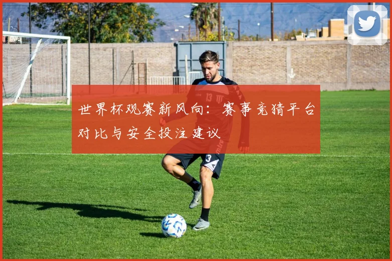 世界杯观赛新风向：赛事竞猜平台对比与安全投注建议